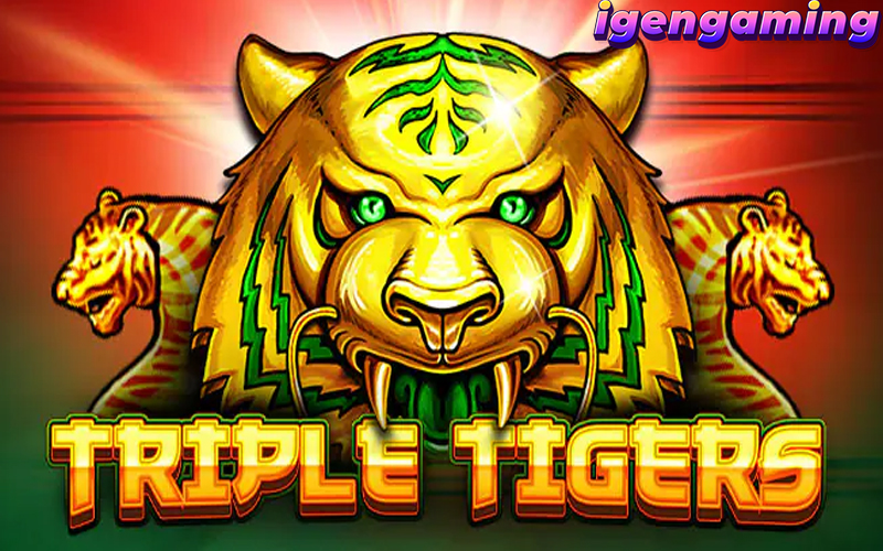 SLOT Triple Tigers: Mesin Slot Seru untuk Semua